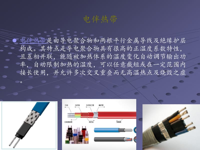 电伴热带详细资料教学课件.ppt_第2页