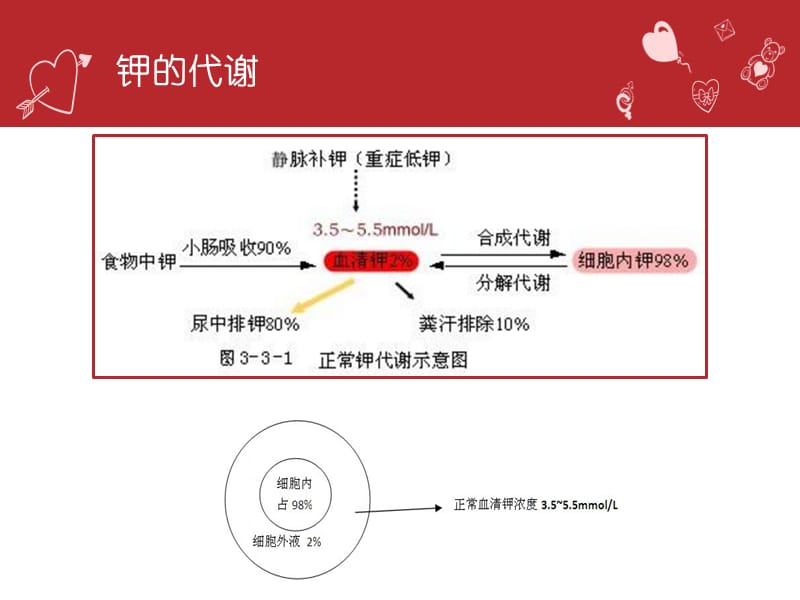 低钾血症的临床诊治ppt课件.ppt_第2页