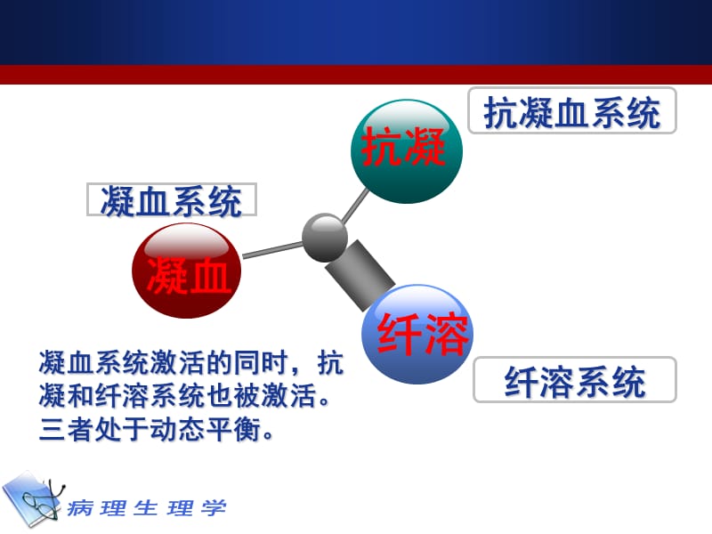 凝血和抗凝血平衡紊乱ppt课件.ppt_第3页