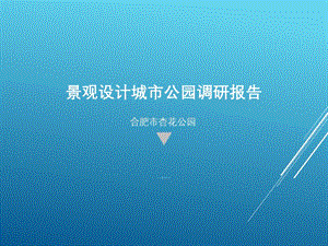 合肥市杏花公园景观设计调研报告.ppt