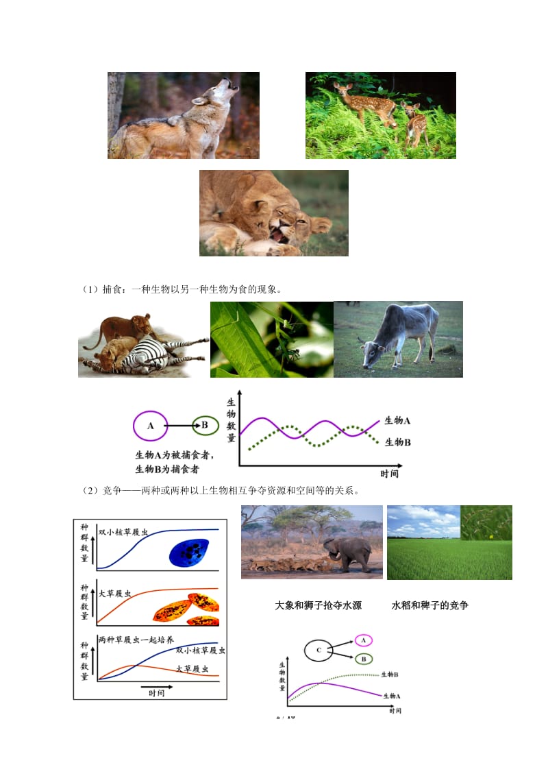 专题群落-讲义.doc_第2页