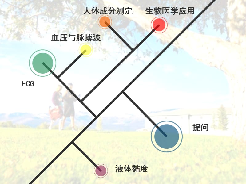 人体成分测定、物理在生物医学上的应用.ppt_第3页