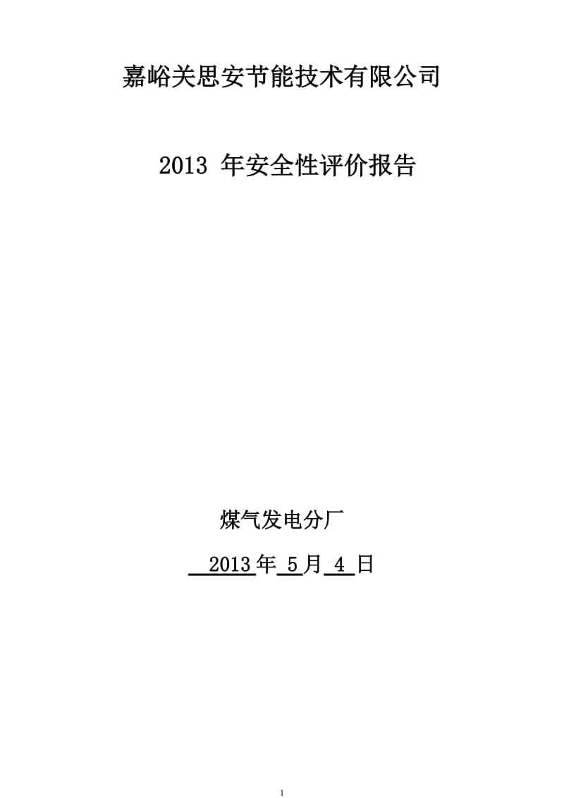 2013年安全性评价报告.doc_第1页