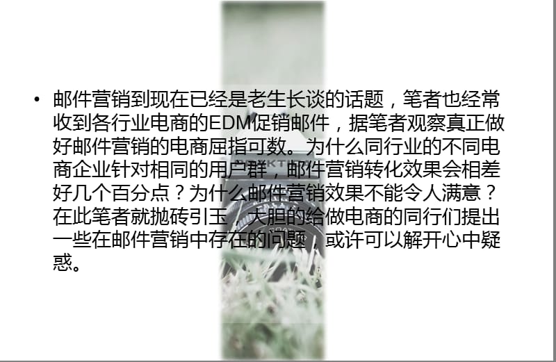 电商邮件营销中常见问题分析.ppt_第2页