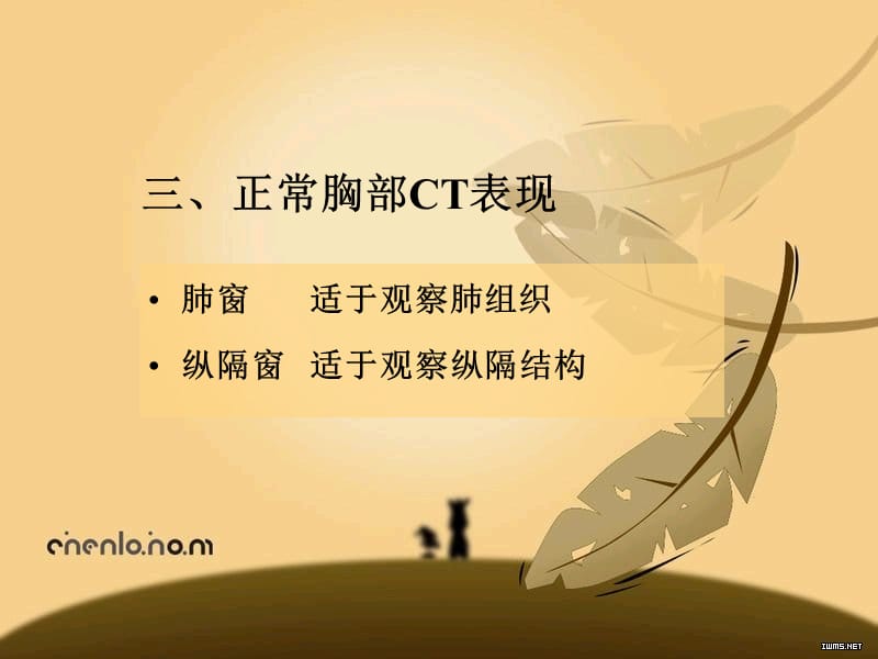 医学影像学呼吸系统2ppt课件.ppt_第1页