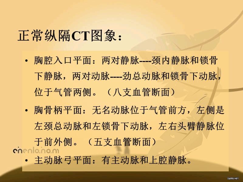 医学影像学呼吸系统2ppt课件.ppt_第2页