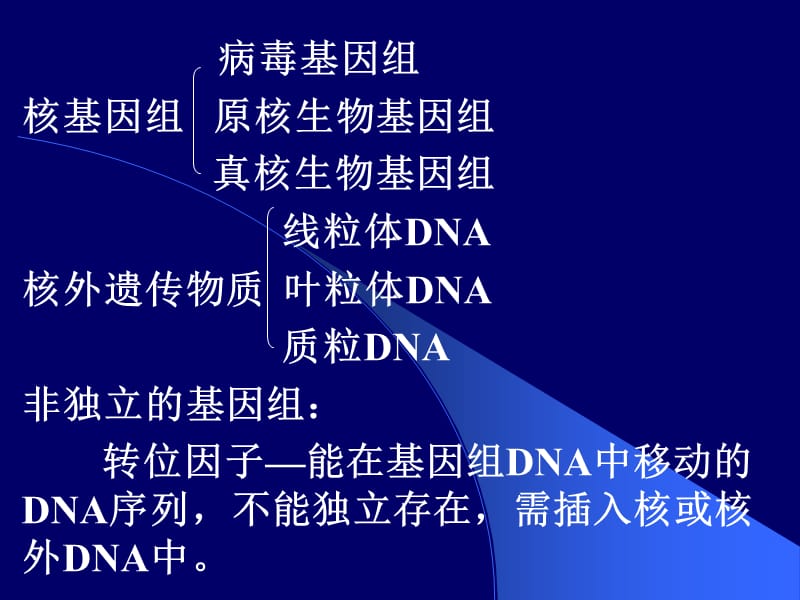 分子生物学课件2Ch2. Genomic DNA, Genes.ppt_第3页