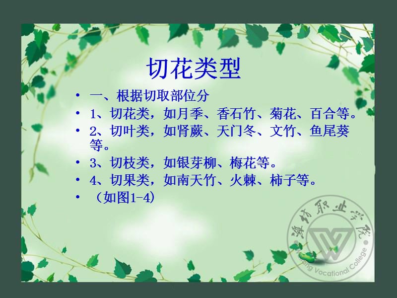 切花周年生产技术ppt课件.ppt_第3页