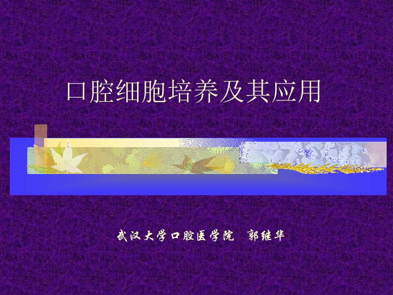 口腔细菌的培养及应用ppt课件.ppt_第1页