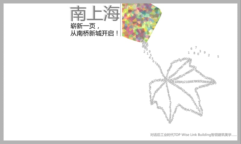 南桥新城项目可行性研究 定位 运营报告.ppt_第1页