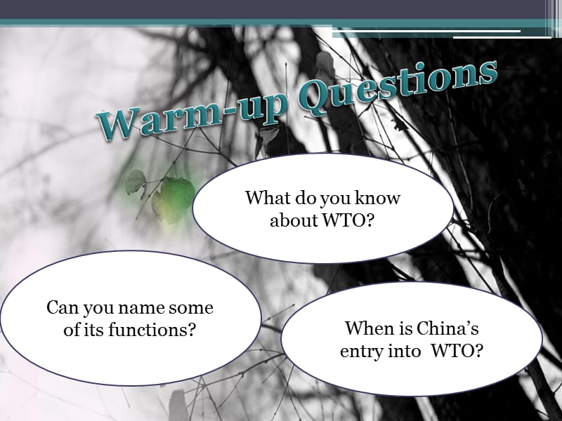 大学外贸英语chapter 14 WTO1— A General Introduction.ppt_第2页