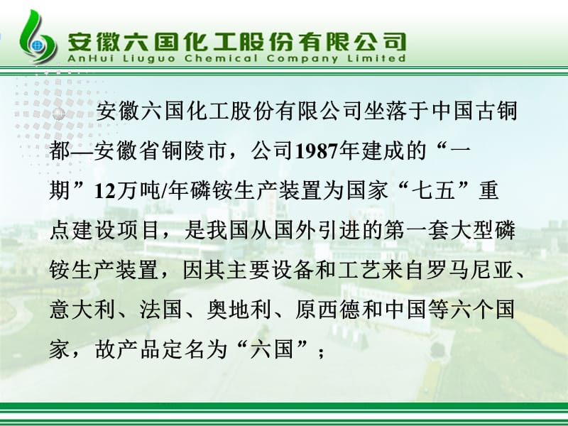 动态考核激发活力六国化工内审员管理模式介绍.ppt_第2页