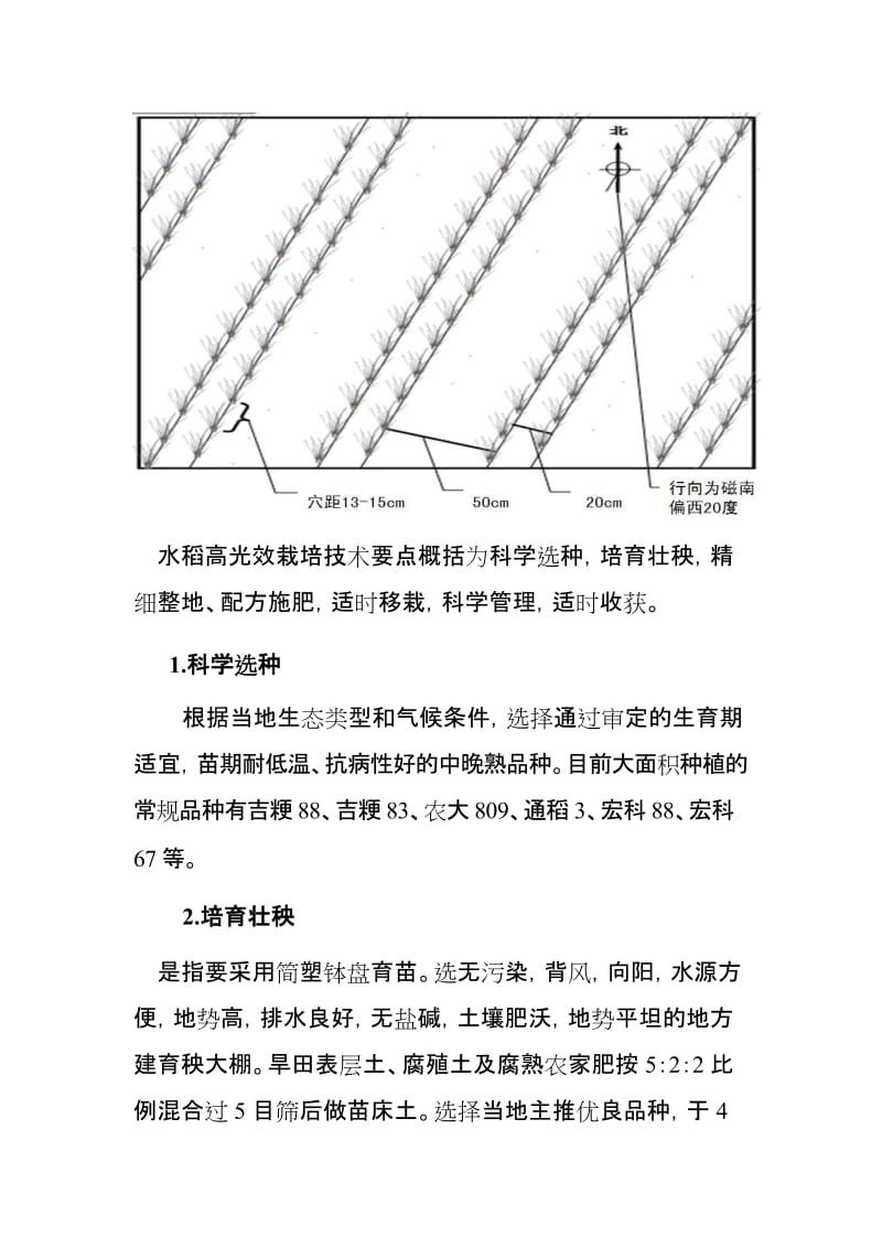 辉南县水稻高光效栽阳培技术1.doc_第3页