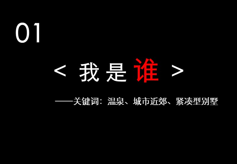 小院汤城一期营销推广策略沟通方案_98P.ppt_第3页