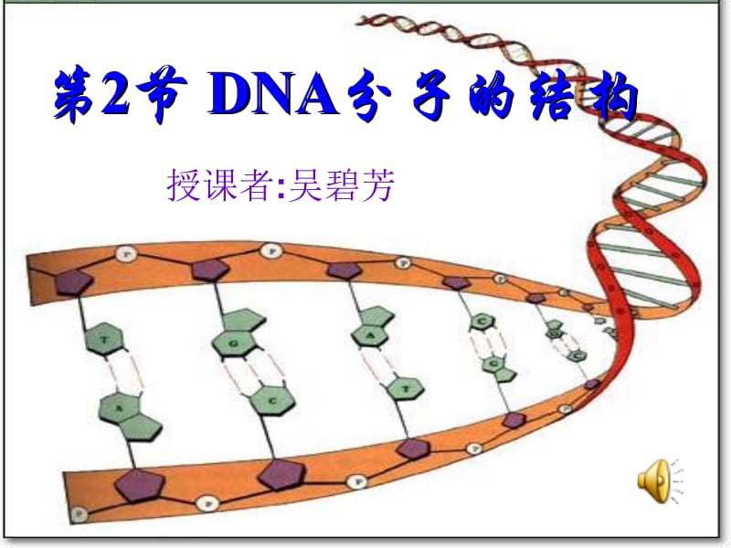 第2节DNA分子的结构.ppt_第1页