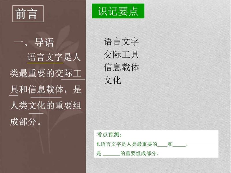 小学语文课程与教学2a.ppt_第1页