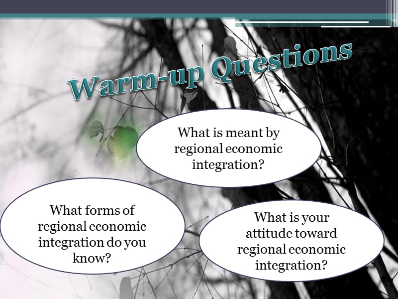 大学外贸英语chapter 9 Regional Economic Integration.ppt_第2页