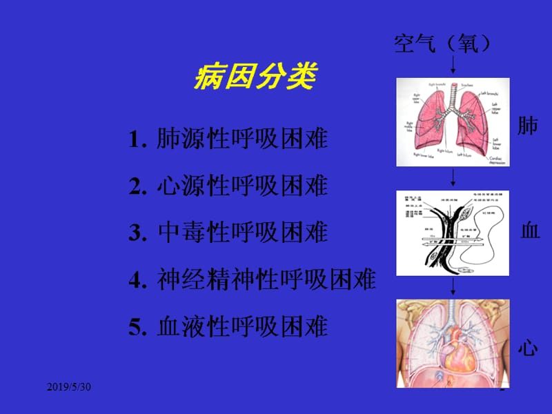 呼吸系统诊断学ppt课件.ppt_第2页