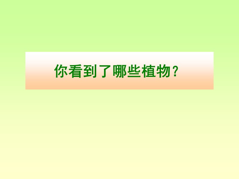 小学科学课件 水生植物.ppt_第2页