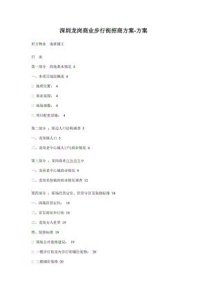 深圳龙岗商业步行街招商方案-方案.doc