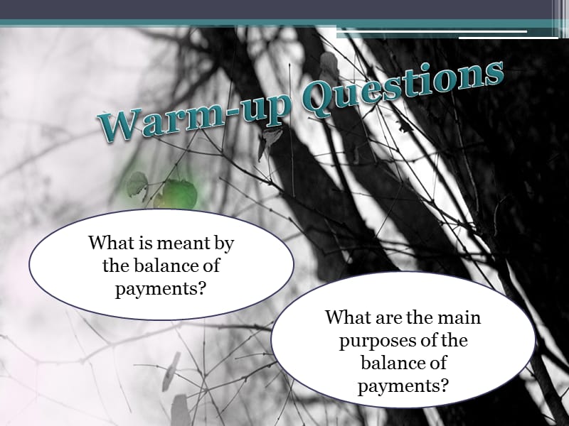 大学外贸英语chapter 11 The Balance of Payments.ppt_第2页