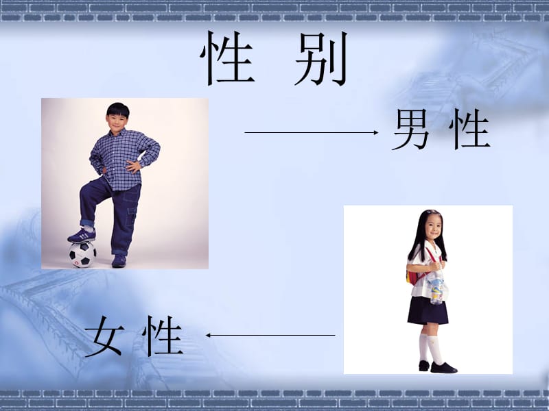 小学男生青春期健康教育PPT.ppt_第3页