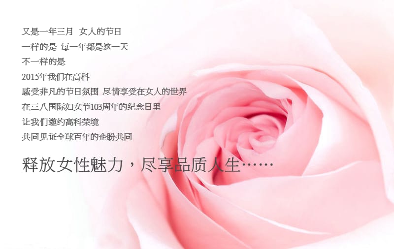 妇女节活动方案PPT.ppt_第2页