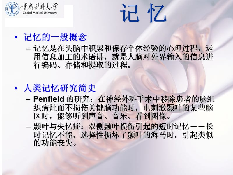 学习与记忆-2013ppt课件.ppt_第3页