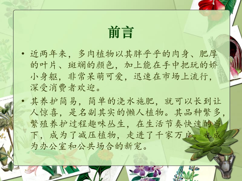 多肉植物生产案例定稿ppt课件.ppt_第3页