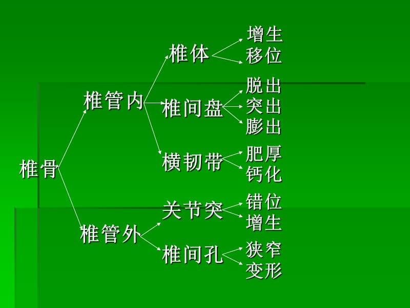 脊柱区带相关疾病的临床探索.ppt_第3页