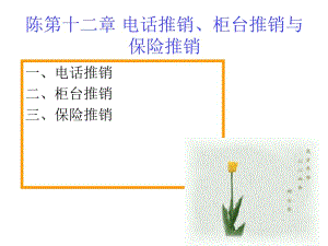 第十二章电话推销柜台推销与保险推销.ppt