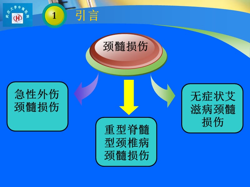 扩散张量成像在脊髓损伤中的应用pp但t课件.ppt_第3页