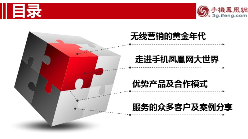 手机门说户网站营销方案.ppt_第2页