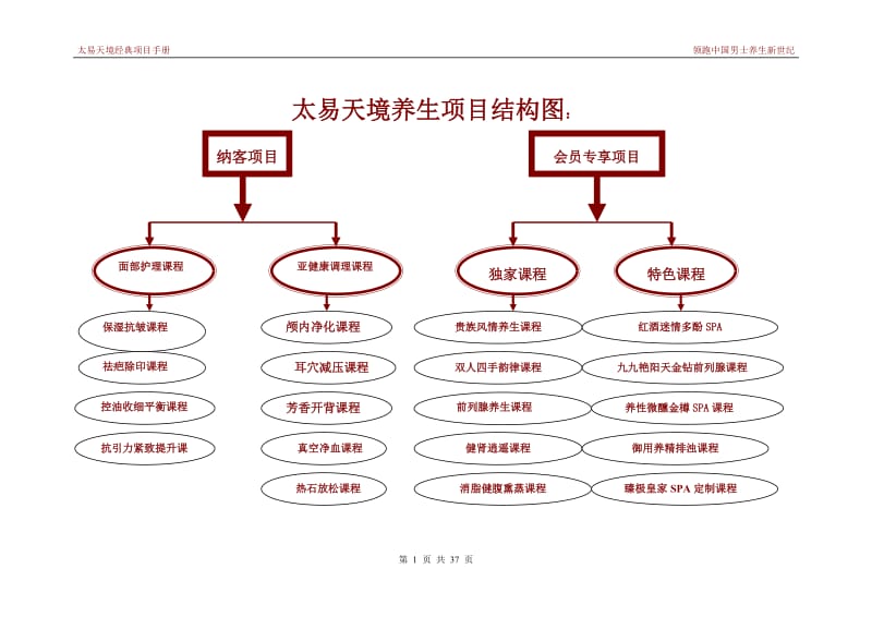 太易天境养生项目结构图.doc_第1页