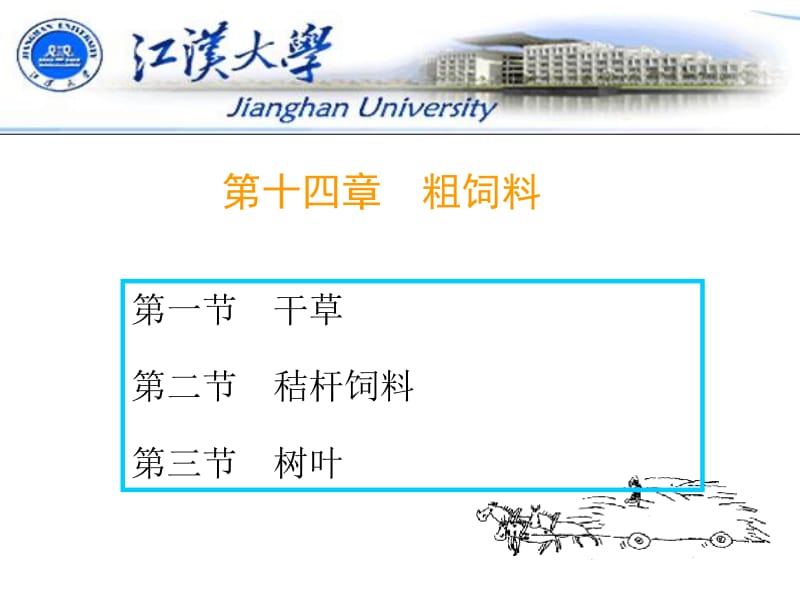 第4章粗饲料24ppt课件.ppt_第1页