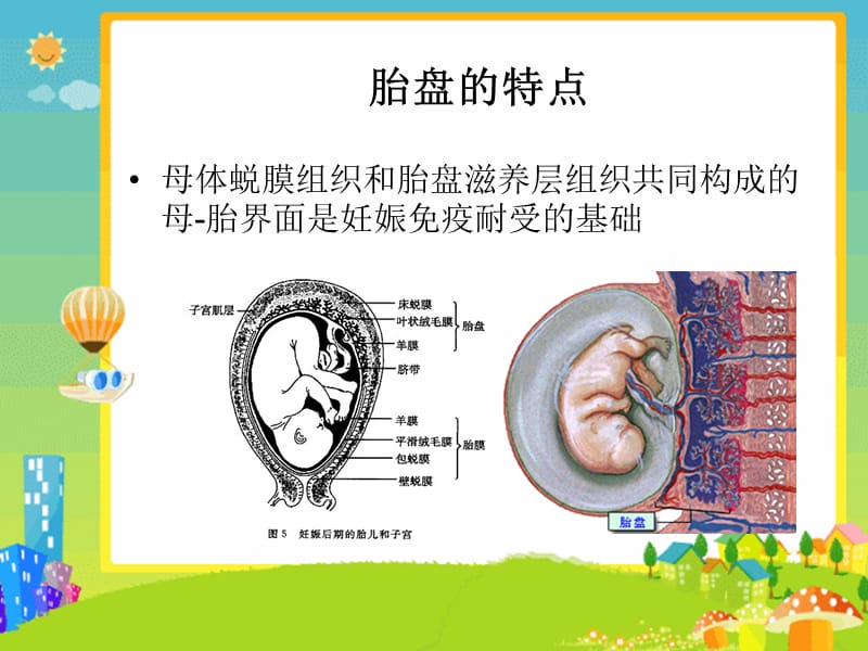 新预防过敏孕妇做起上ppt课件.ppt_第3页