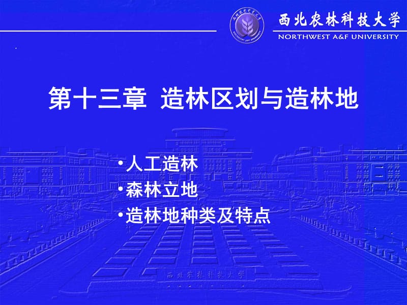 第十三章造林区划与造林地.ppt_第1页