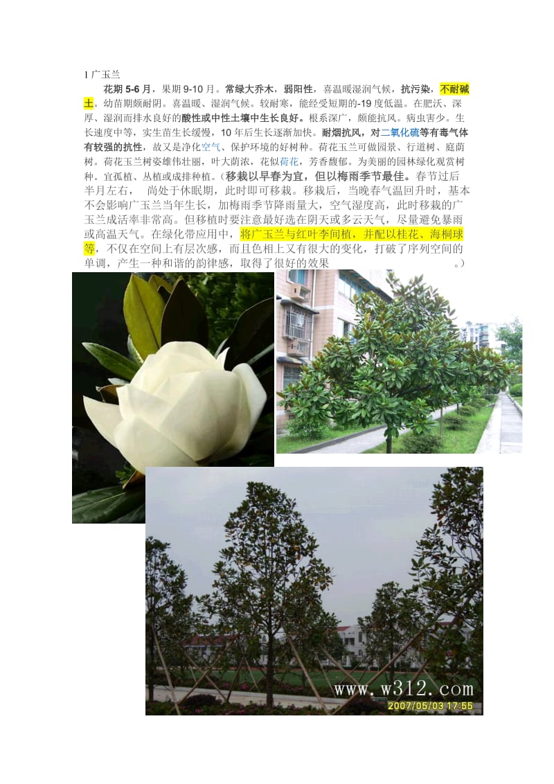 夏季开花树木、常绿树木.doc_第1页