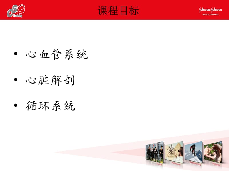 心脏解剖g1预习p没pt课件.ppt_第2页