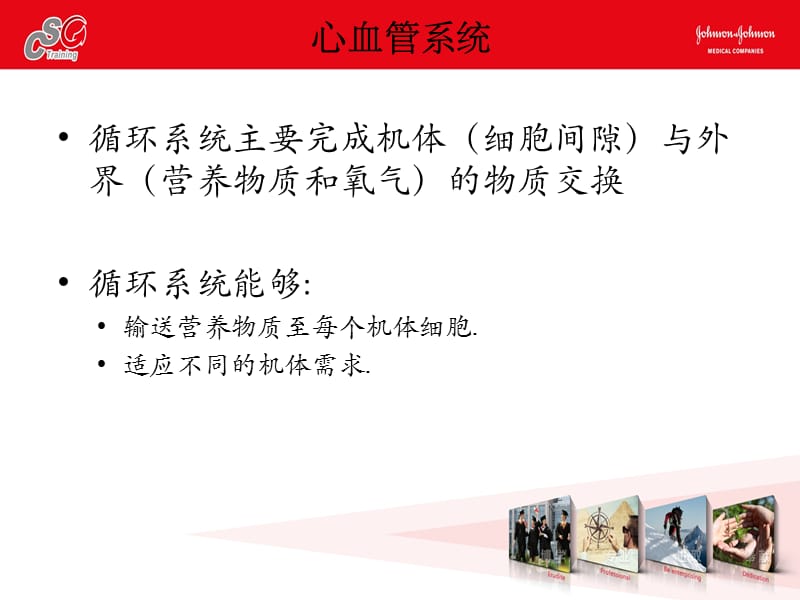 心脏解剖g1预习p没pt课件.ppt_第3页