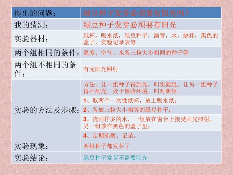 教科版科学五年级期末复习——实验计中划及实验报告.ppt_第3页