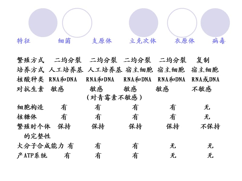 第四部分支原体立克次氏体衣原体教学课件.ppt_第2页