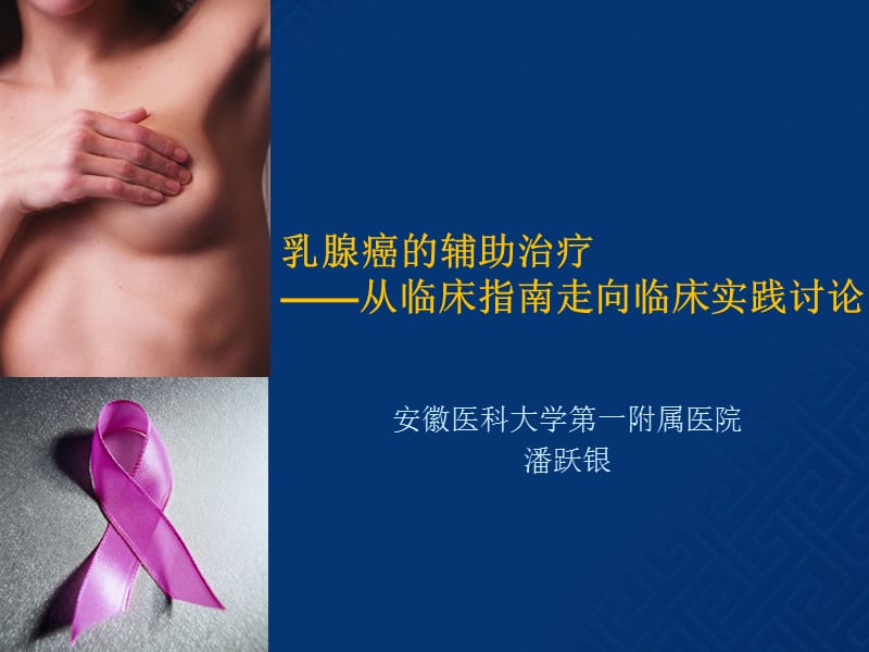 潘跃银-乳腺癌的辅助治疗分-从临床指南走向临床实践讨论.ppt_第1页