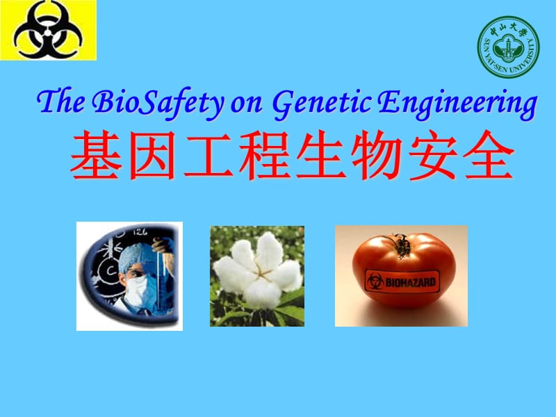 基因工程生物安全课件.ppt_第1页