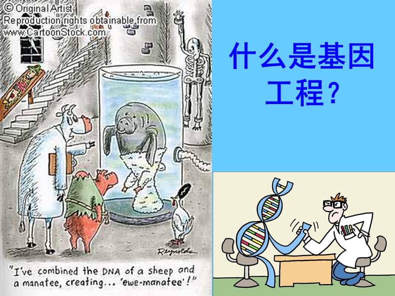 基因工程生物安全课件.ppt_第3页