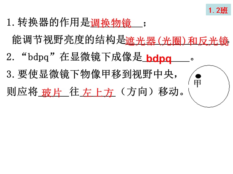 七上生物-植物.ppt_第2页