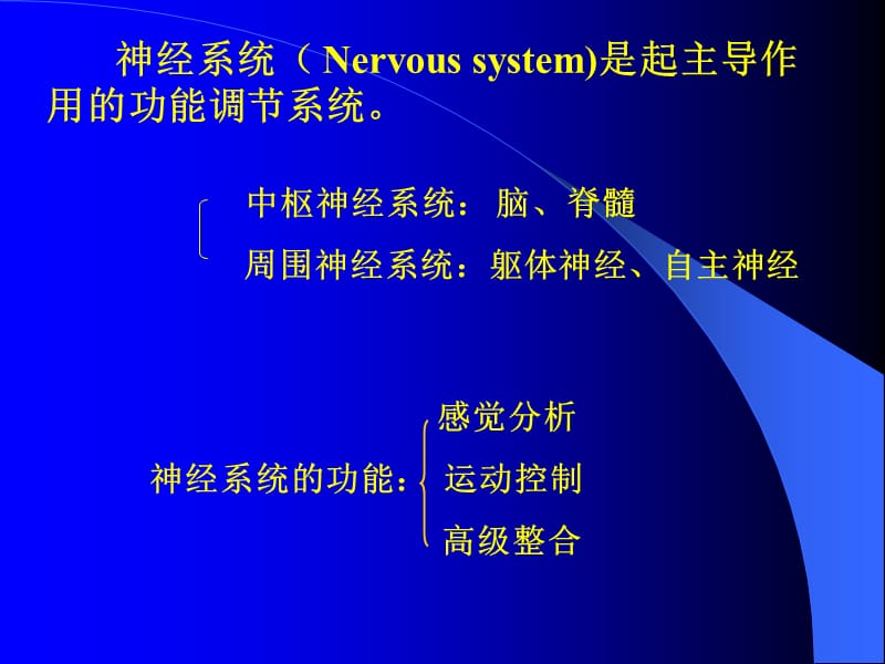 神经系统的分功能1.1ppt课件.ppt_第2页