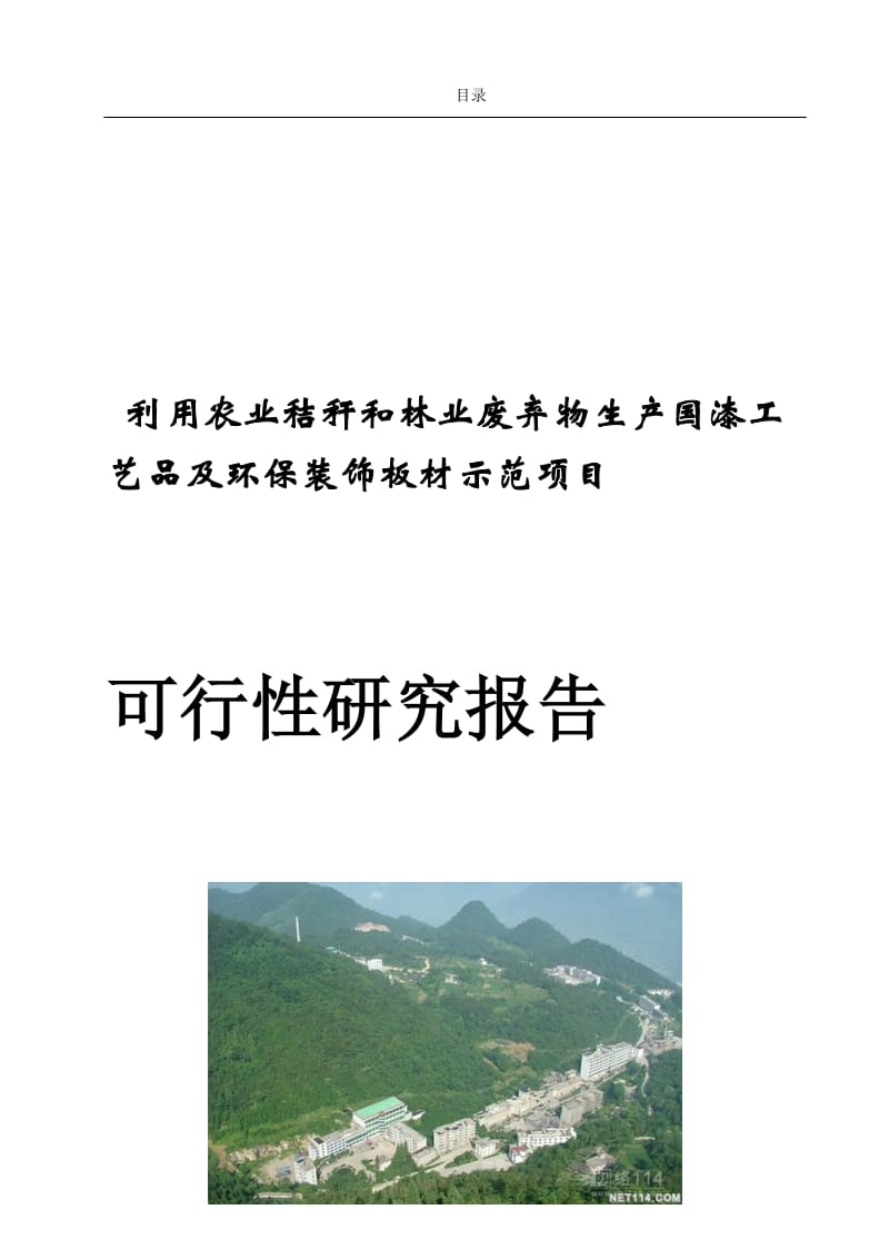 m利用农作物秸秆等农、林废弃物年产16万套国漆工艺品及120万平方米工艺装饰板材改扩建项目可行性研究报告.doc_第2页