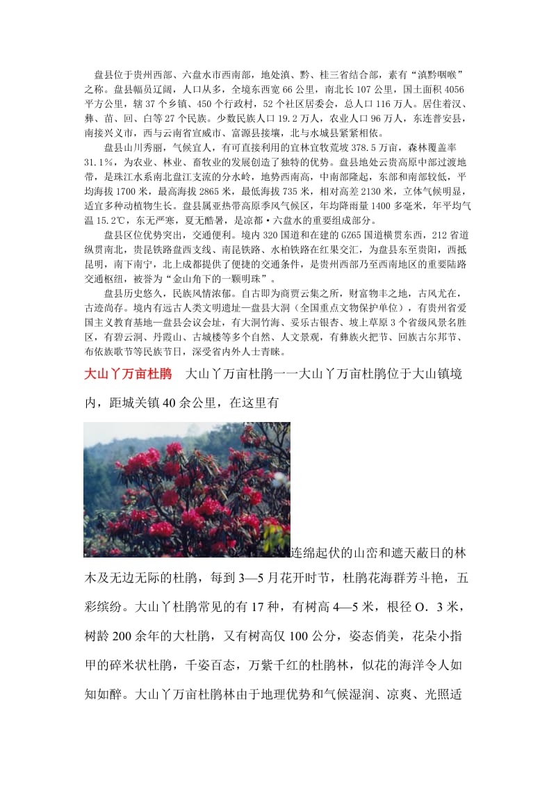 盘县旅游景点介绍.doc_第1页