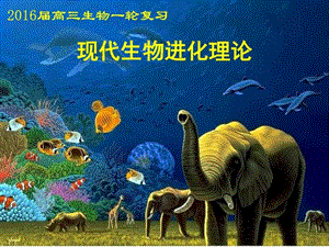 现代生物理论进化(2016届发高三生物一轮复习).ppt